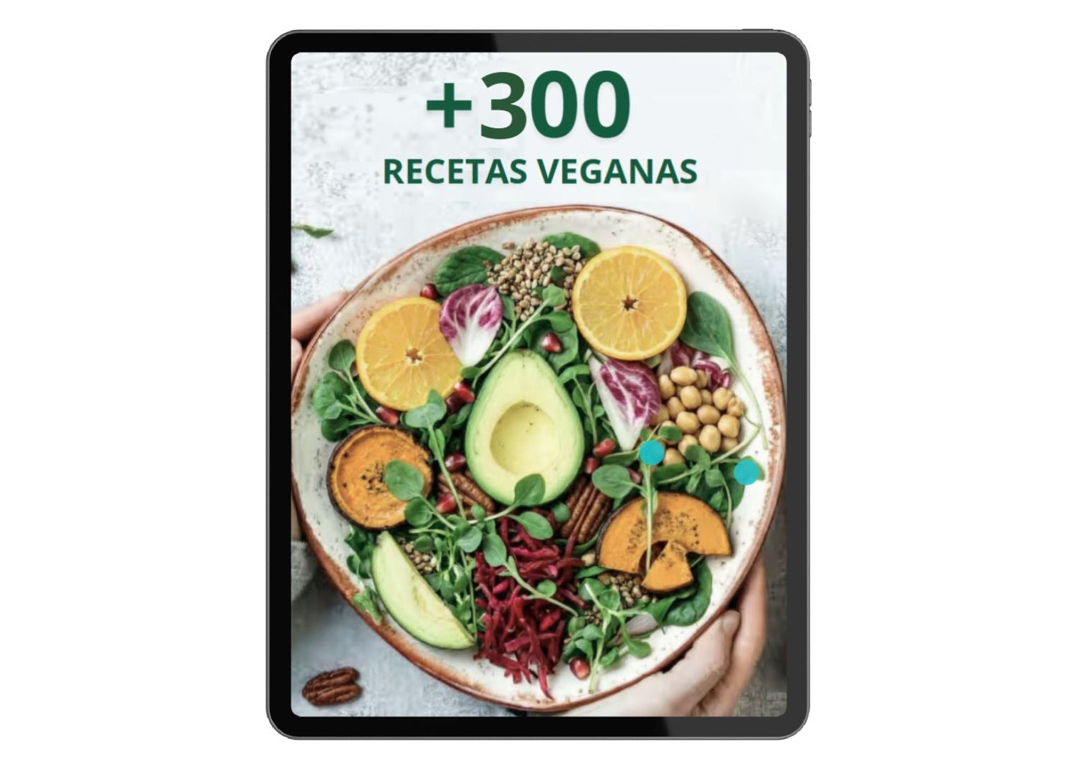 300 Recetas Veganas - Horno, Air Fryer, Sartén, Olla, Microondas